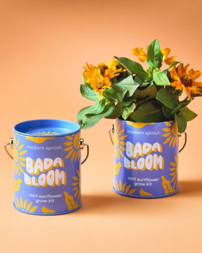 Bada Bloom mini sunflower grow kit shown with one empty blue planter and one planted sunflower starter on an orange background