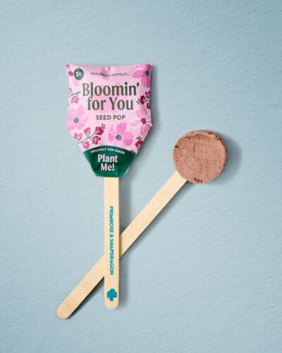 Bloomin’ for You flower seed pop with primrose and snapdragon seeds on a blue background