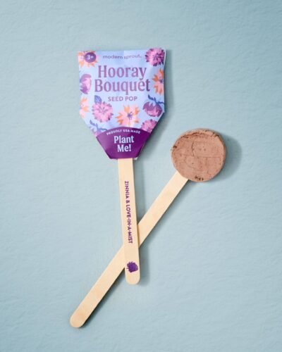 Hooray Bouquet flower seed pop with zinnia and love-in-a-mist seeds on a blue background