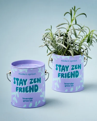 Stay Zen Friend lavender grow kit shown with one empty purple planter and one planted lavender starter on a blue background