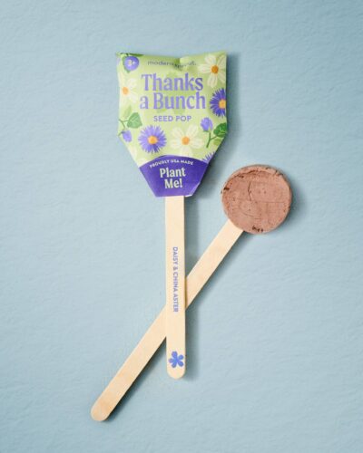 Thanks a Bunch flower seed pop with daisy and China aster seeds on a blue background