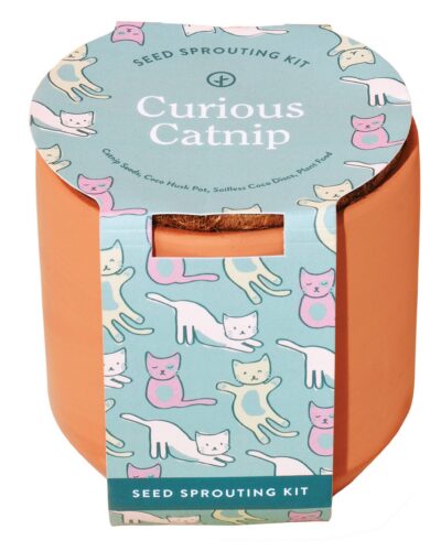 Curious Catnip tiny terracotta pet grow kit in illustrated cat-themed packaging.