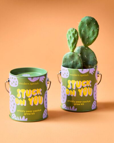 Stuck On You prickly pear cactus grow kit with one empty can and one planted can with cactus.