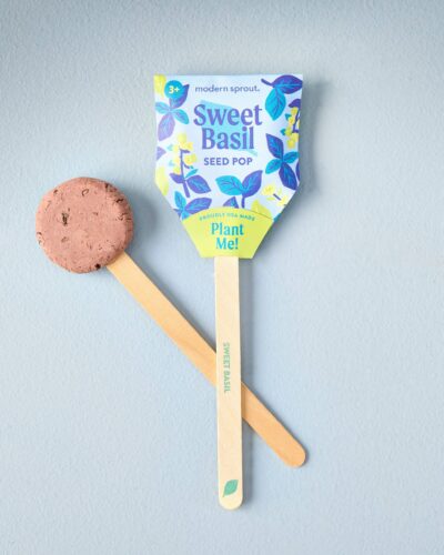 Sweet basil garden seed pop with clay seed disc and wooden plant marker on a light blue background.