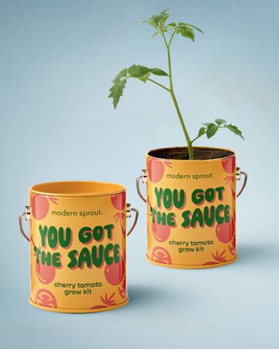 You Got the Sauce organic cherry tomato grow kit with one empty can and one planted can with a tomato seedling.